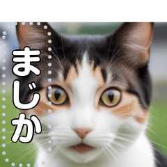 【ねこ】真顔のネコ☆文字変更自由