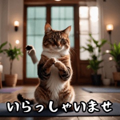 cat speaking honorific language