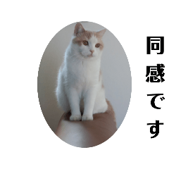chamsuke_20240413224155