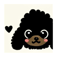 Black x brown toy poodle