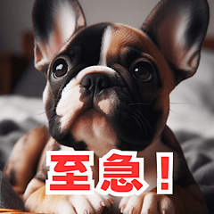 Frenchie Addiction Stamp