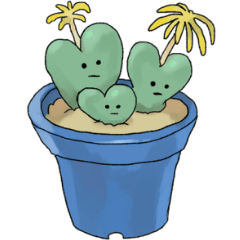 Succulents and their friends