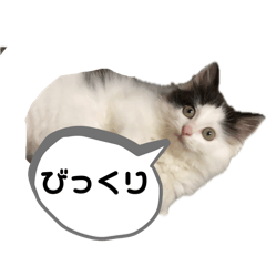 sarnya3_20240413221732