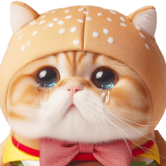 Burger cute cat