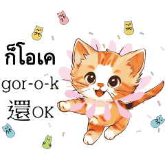 Jumping Cat Kitten Thai 5