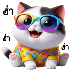 Cat with Glasses hawai