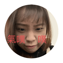 楊了個陽