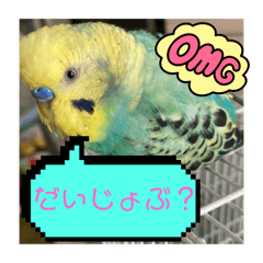 Haya-_20240414223800