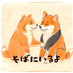 Shiba Inu Part2