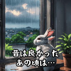 Elderly Rabbit Expressions
