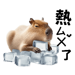 Cute Capybara Everyday Phrases