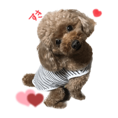 Yuka_20240414212430