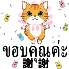 แมวกระโดด ลูกแมวไทย 3