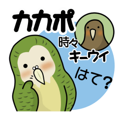 Kakapo and Kiwi / Fun daily life