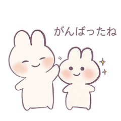 fluffy bunny chan