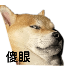 厭世柴1