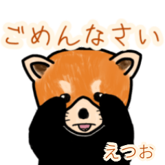 Etsuo's lesser panda