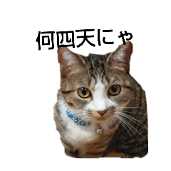 yumehei_20240415213106