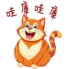 The Chubby Orange Cat's Slang Collection