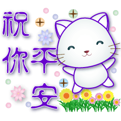 Cute White Cat - Daily Useful Phrases