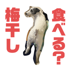 motomu_20240416141703