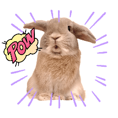 floppy ear rabbit sticker