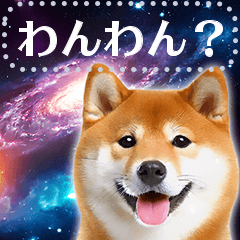 Let's talk with space Shiba Inu