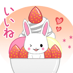 Ruki-rabbit4-pop