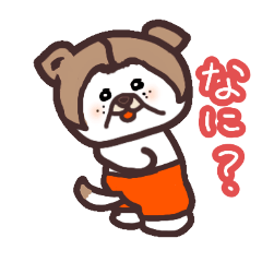 Funny dog okappa inu