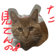 TomDack_20240416181224