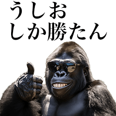 [Ushio] Funny Gorilla stamps to send