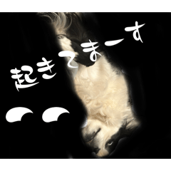 yamauekensou_20240416182833