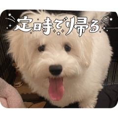 hiratake_20240416205415