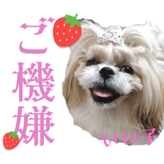 rui_20240328