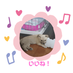 sakura_20240416203808