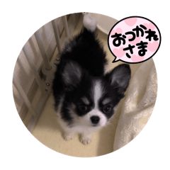 yumu_20240416220405