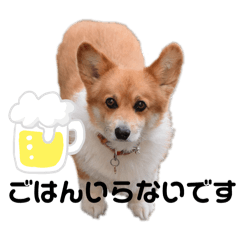 rui_20240416220401