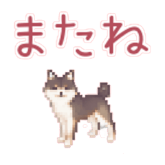 Shiba Inu Pixel Art Sticker 2
