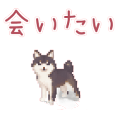 Stiker Seni Piksel Shiba Inu 3