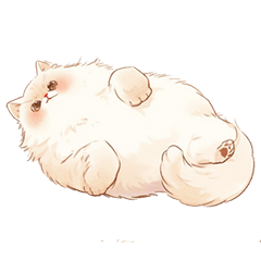 Fluffy white cat (no text)
