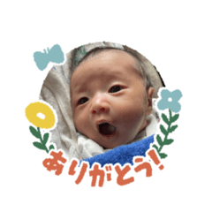 tsubaki_20240417111914