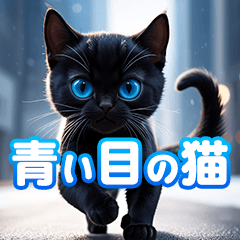 青い目の黒猫