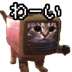 猫ミーム【パソコン猫】