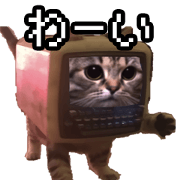 Cat meme [PC Cat]