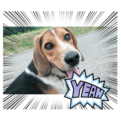 sakura_20240417154225