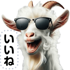 A goat builds sunglasses