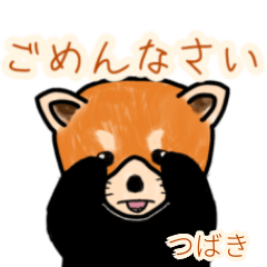 Tsubaki's lesser panda