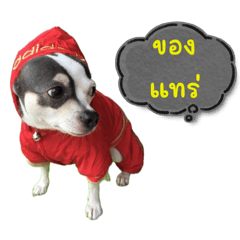 Gibbs_20240418101938