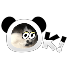 Yuka_20240417203830