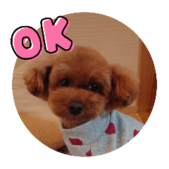 PekoPoko_20240417213432